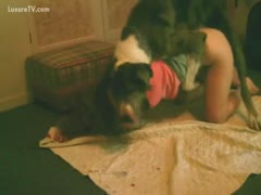Big mutt pumps his master's pussy